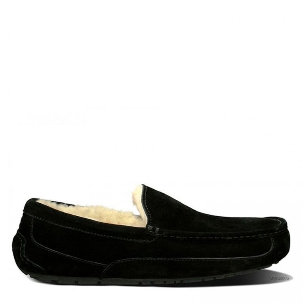 Ascot Black